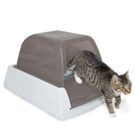 Self Cleaning Litter Box For 2 Cats Cat Meme Stock Pictures And Photos