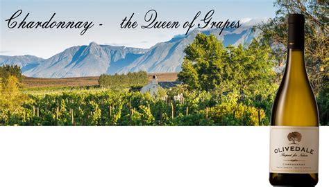 the Queen of Grapes – Olivedale Wines