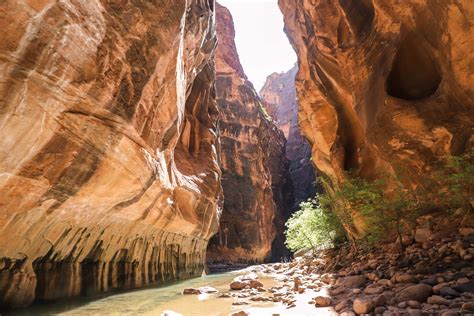 What To Expect Hiking The Narrows Zion National Park