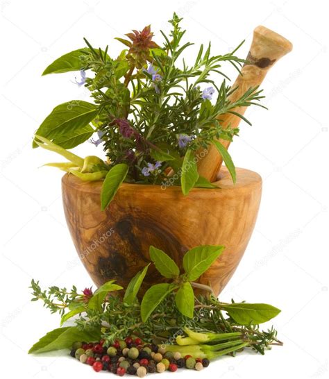 Herbs — Stock Photo © Bvdc01 2158883