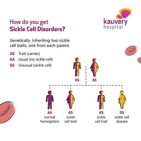 What Is Sickle Cell Disease Symptoms Causes And Risk Factors Health