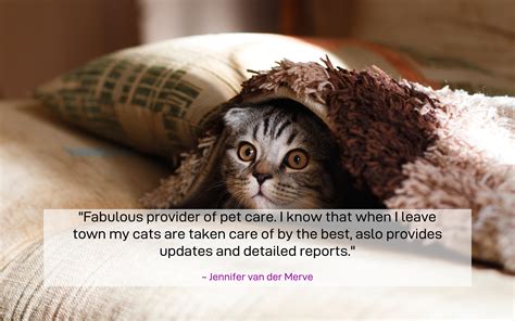 Pet Sitter | Gauteng | Johannesburg & Pretoria | Team Pet Sitters | Pet