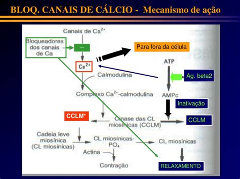 Elias e cols síncope cardíaca reflexa arq bras breve cardiol comunicação 2002; PPT - Fundação Universidade Federal do Rio Grande ...