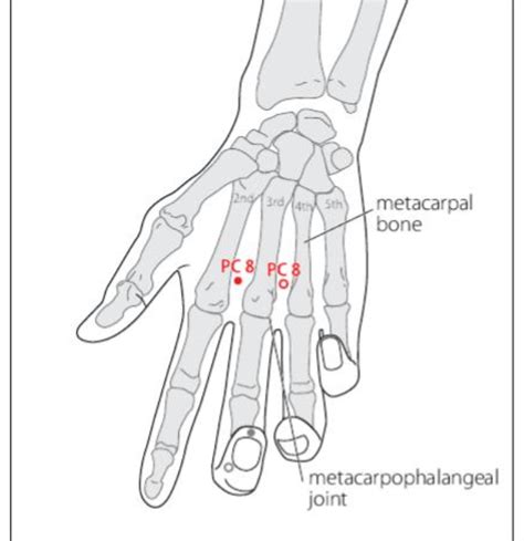 Pc 8 Acupuncture Point Acupuncture Point Locations Review