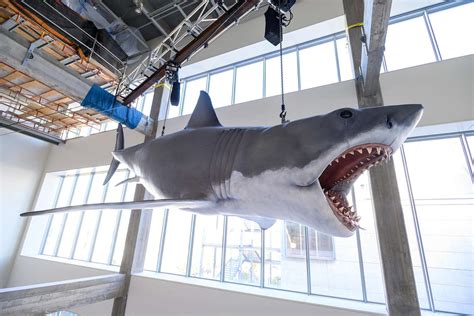 Academy Museum Installs Only Intact Jaws Shark Model