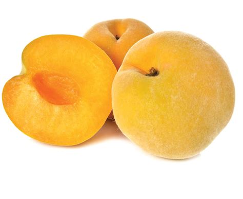 In Season Late Summer Golden Queen Peaches Healthy Food Guide