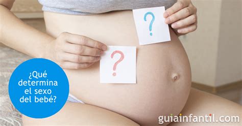 métodos para determinar el sexo del bebé al comienzo del embarazo My