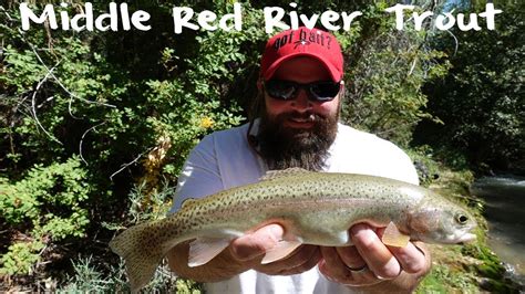 Trout Fishing New Mexicos Middle Red River Youtube