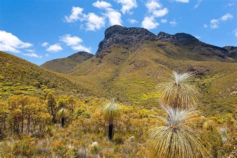 The Different Types Of Shrubland Biomes Across The World Worldatlas