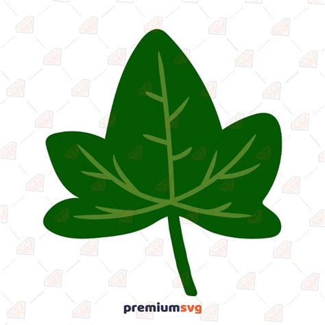 Aka Ivy Leaf Png