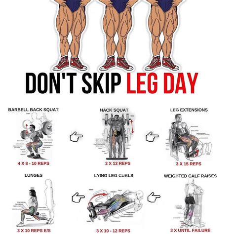 Leg Day Heres A Treat For All You Hardgainers And To All The