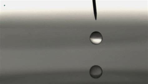 Water Drop  Find And Share On Giphy