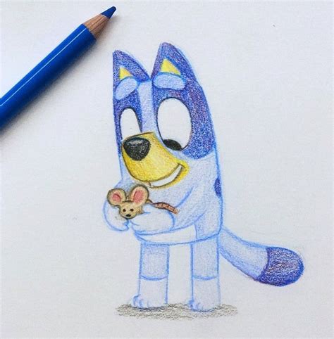 How To Draw Bingo From Bluey Cartoon And Color With Markers Drawings