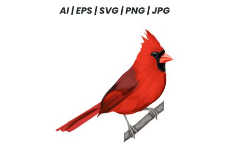 Cardinal Bird Vector Graphic By 0aginanjar0 · Creative Fabrica