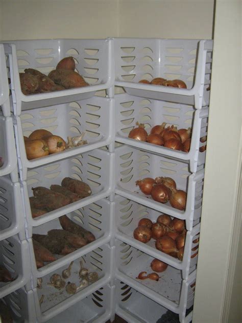 Here is a list of ways to store your. How We Store Our Vegetables Without A Root Cellar | Square ...