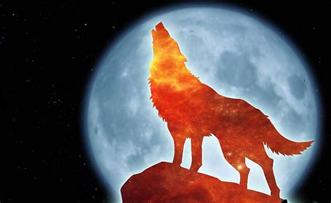Howling Fire Wolf Greeting Cards By Awendela Redbubble