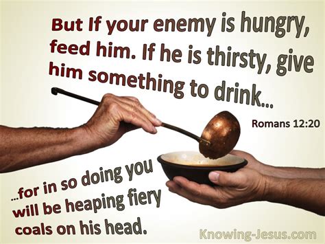 Romans 1220 If Your Enemy Is Hungry Feed Him Brown