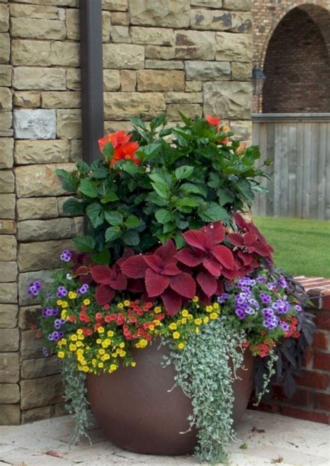 Best Flowering Plants For Shade In Pots Quick And Healthy Breakfast
