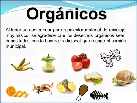 Son constituidos por minerales y agua. Yammine leyó: Basura orgánica: qué es, ejemplos | Yammine ...