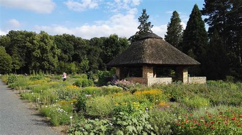 März 2020 ist in dresden deutschlands bedeutendste frühlingsblumenausstellung zu sehen. Botanische Gärten in Sachsen