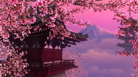 Sunset Cherry Blossom Wallpapers Top Free Sunset Cherry Blossom