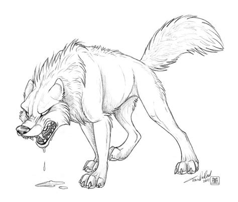 Sketch Anger Wolf Drawing Wolf Drawing Easy Wolf Head Drawing