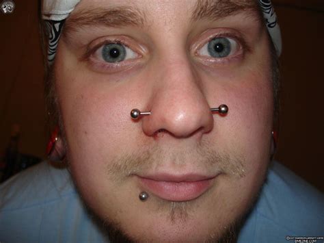 Nose Piercings Types Healing And Pics Nostril To Nasallang Tatring