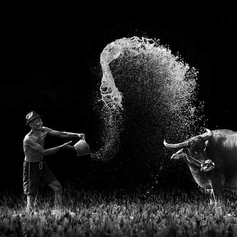 Beautiful Examples Of Action Photography Noupe
