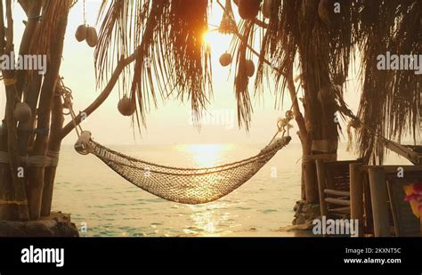 Palm Tree Hammock Beach Scene Stock Videos And Footage Hd And 4k Video