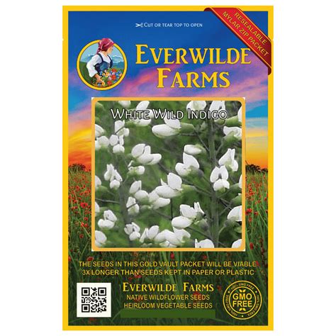 Everwilde Farms 150 White Wild Indigo Native Wildflower Seeds Gold