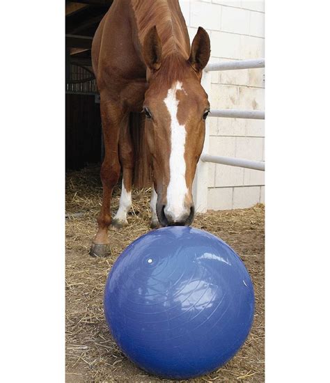 Large Play Ball Toys For Horses Kramer Equestrian