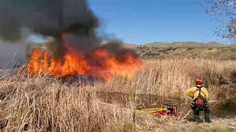 Fighting Fire With Fire How Controlled Burns Help Protect Property