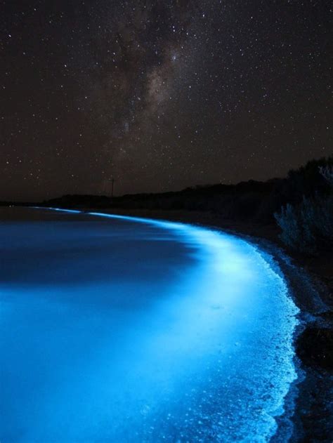 Sea Sparkles Put On Sensational Light Show In Southern Tasmania