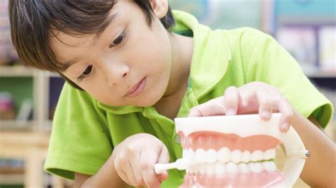 Perform Childhood Dental Care With Pediatric Dentists
