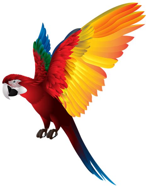 Top 50 Imagen Transparent Background Parrot Png Ecovermx