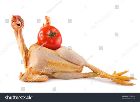 Nude Chicken Lying Holding Big Tomato库存照片19944286 Shutterstock