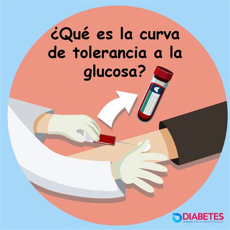 Prueba Oral De Tolerancia A La Glucosa Pdf 56 Off