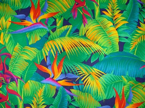48 Tropical Print Wallpaper Wallpapersafari