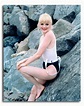 (SS3467048) Movie picture of Alison Arngrim buy celebrity photos and ...