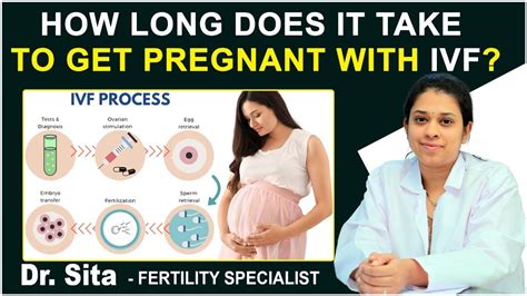 How Long Does It Take To Get Pregnant With Ivf Ivf Procedure Step