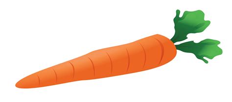 Carrot Clipart At Getdrawings Free Download