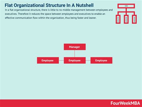 Flat Organizational Structure