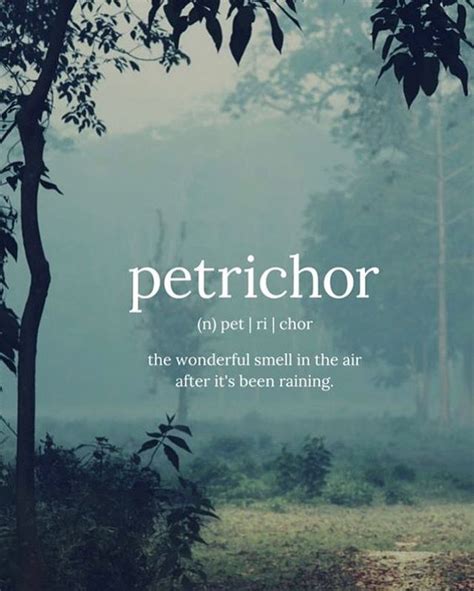 Petrichor Love This Smell Its The Smell Of Rain Either As It Falls