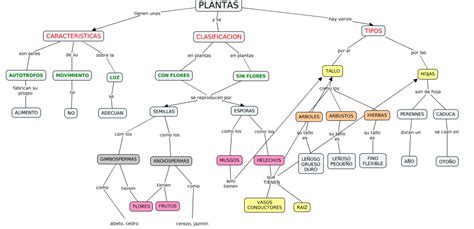 Mapa Conceptual De Las Plantas ¡guía Paso A Paso