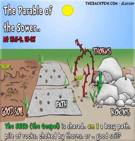 Parable Of The Sower Cartoon