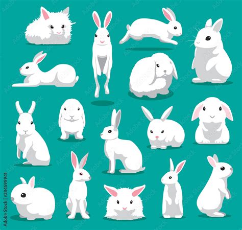 Cute White Rabbit Poses Cartoon Vector Illustration Stock Vector