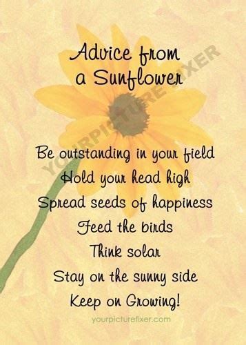 Check spelling or type a new query. Pin by Rae on Citaten | Sunflower quotes, Flower quotes ...