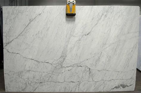 Marble Slabs Stone Slabs Statuarietto Polished White Italian Marble