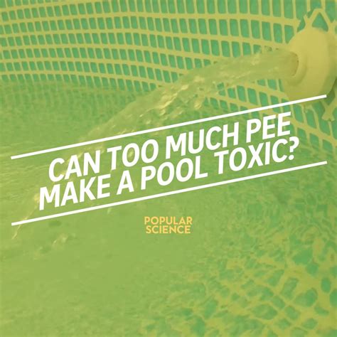 Can Too Much Pee Make A Pool Toxic This Is Why You Shouldnt Pee In