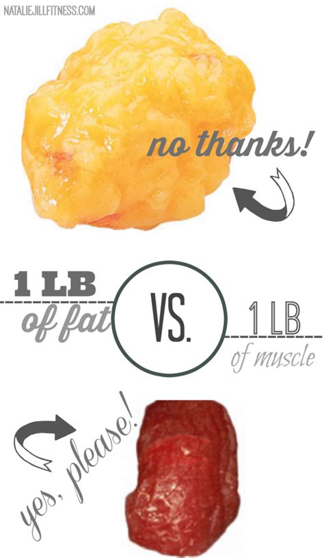 5 Lbs Of Muscle Vs 5 Lbs Of Fat